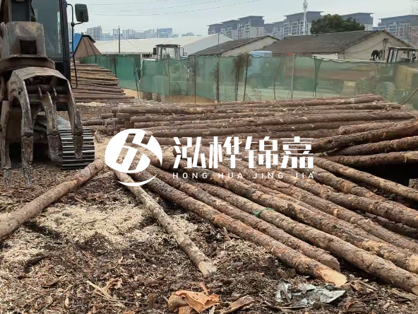 2 米長度松木樁多少錢？松木樁 10 一 15 公分價格？